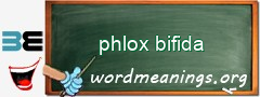WordMeaning blackboard for phlox bifida